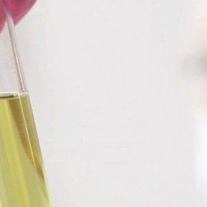 Prueba Multidrogas orina