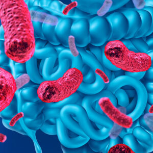Prueba Microbiota Intestinal + Marcadores Inflamatorios (Estudio flora intestinal)