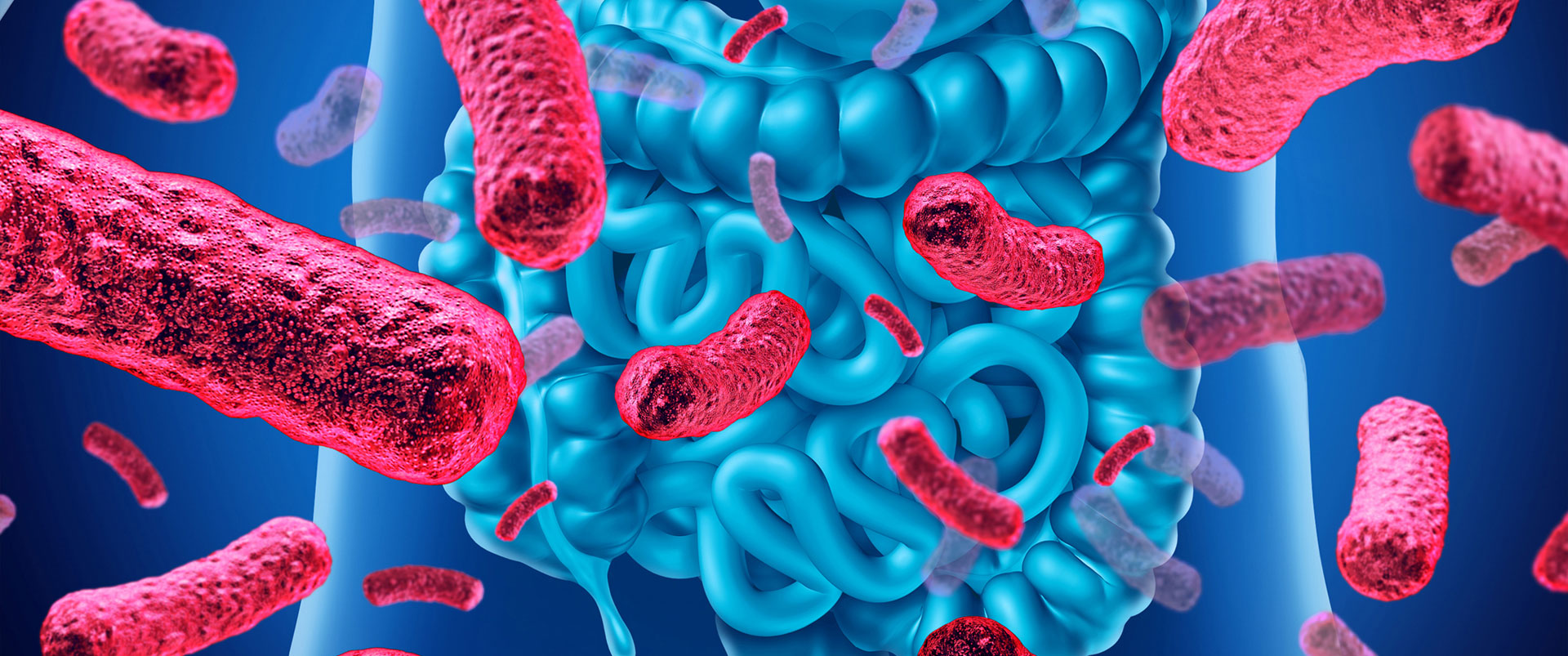 LTS-Microbiota-Intestinal